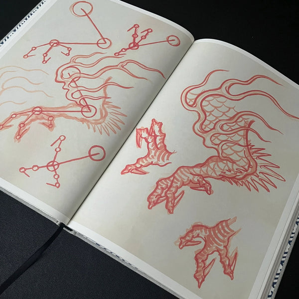 Dragon Studies