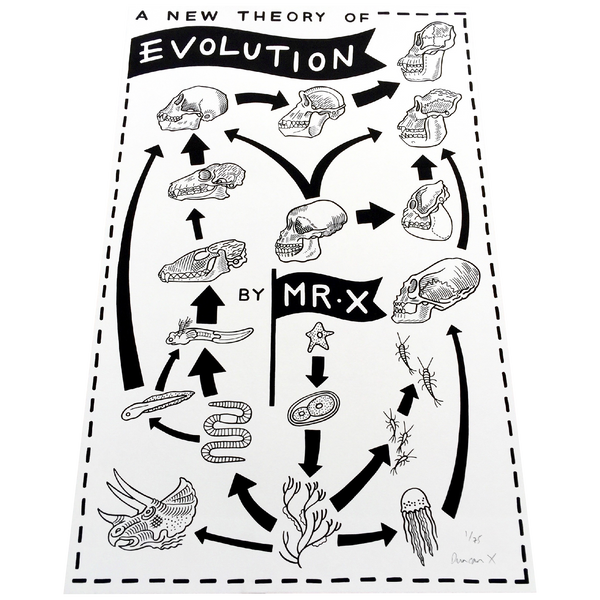 A New Theory of Evolution