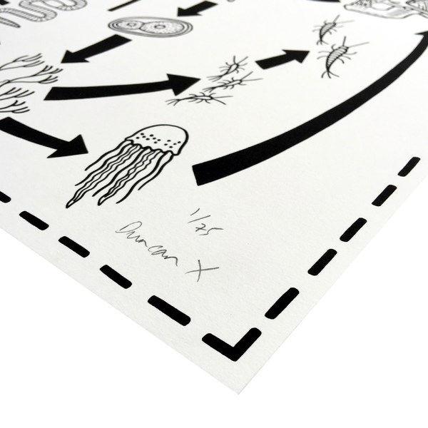 A New Theory of Evolution