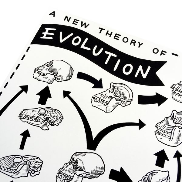 A New Theory of Evolution